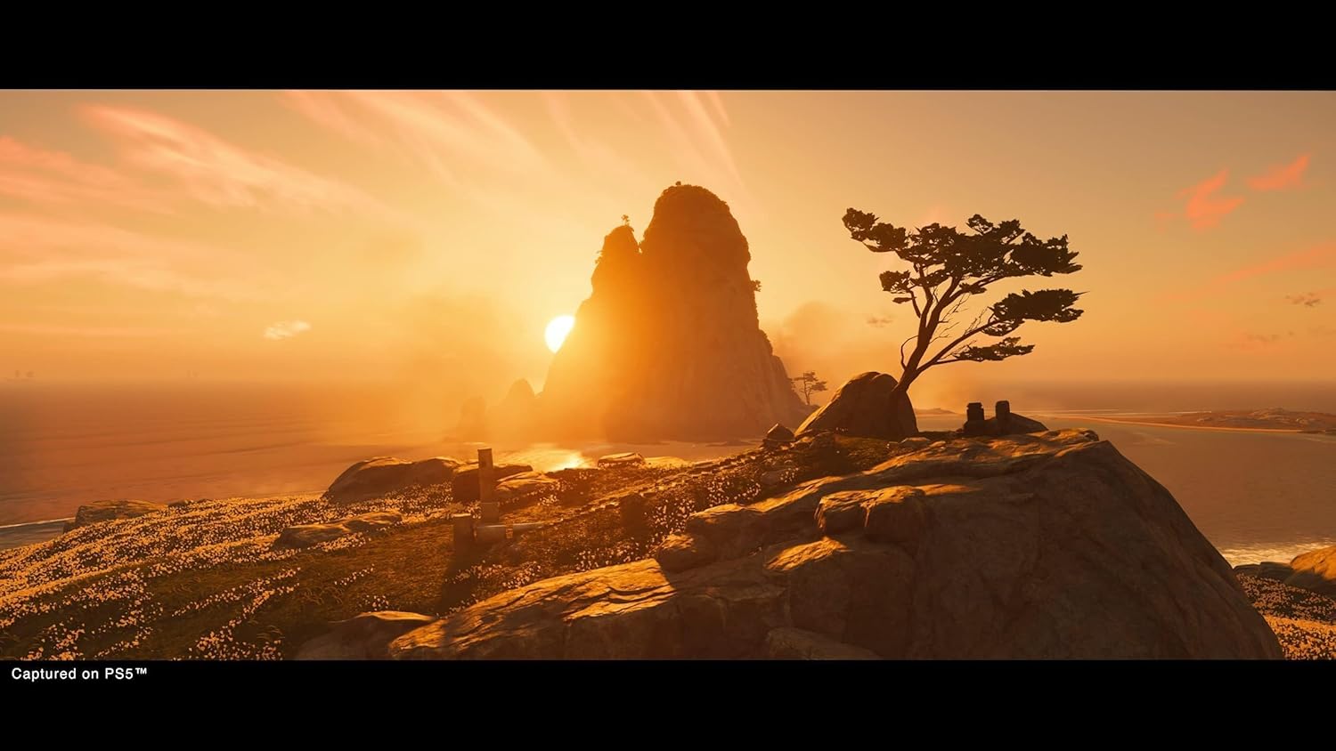 Ghost Of Tsushima Director's Cut (PS5)