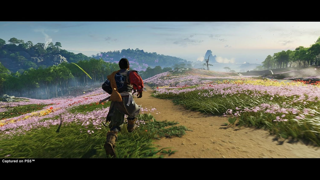 Ghost Of Tsushima Director's Cut (PS5)