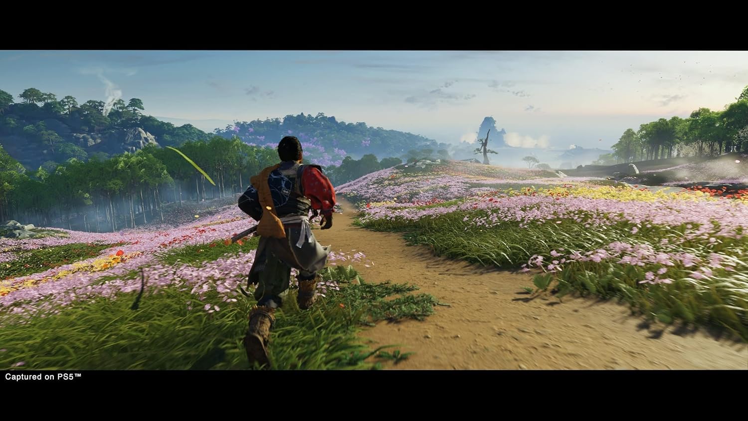 Ghost Of Tsushima Director's Cut (PS5)