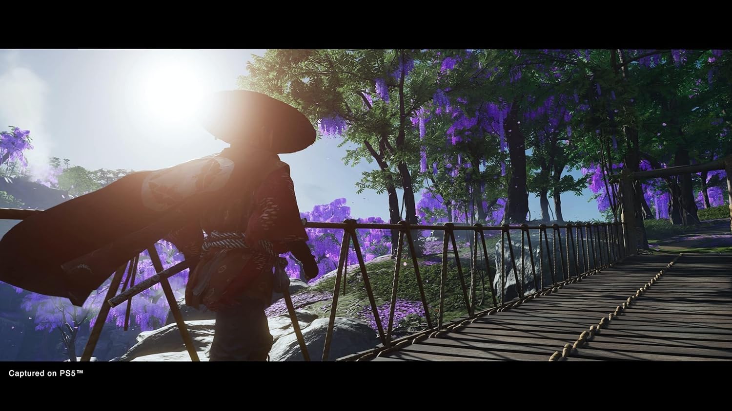 Ghost Of Tsushima Director's Cut (PS5)