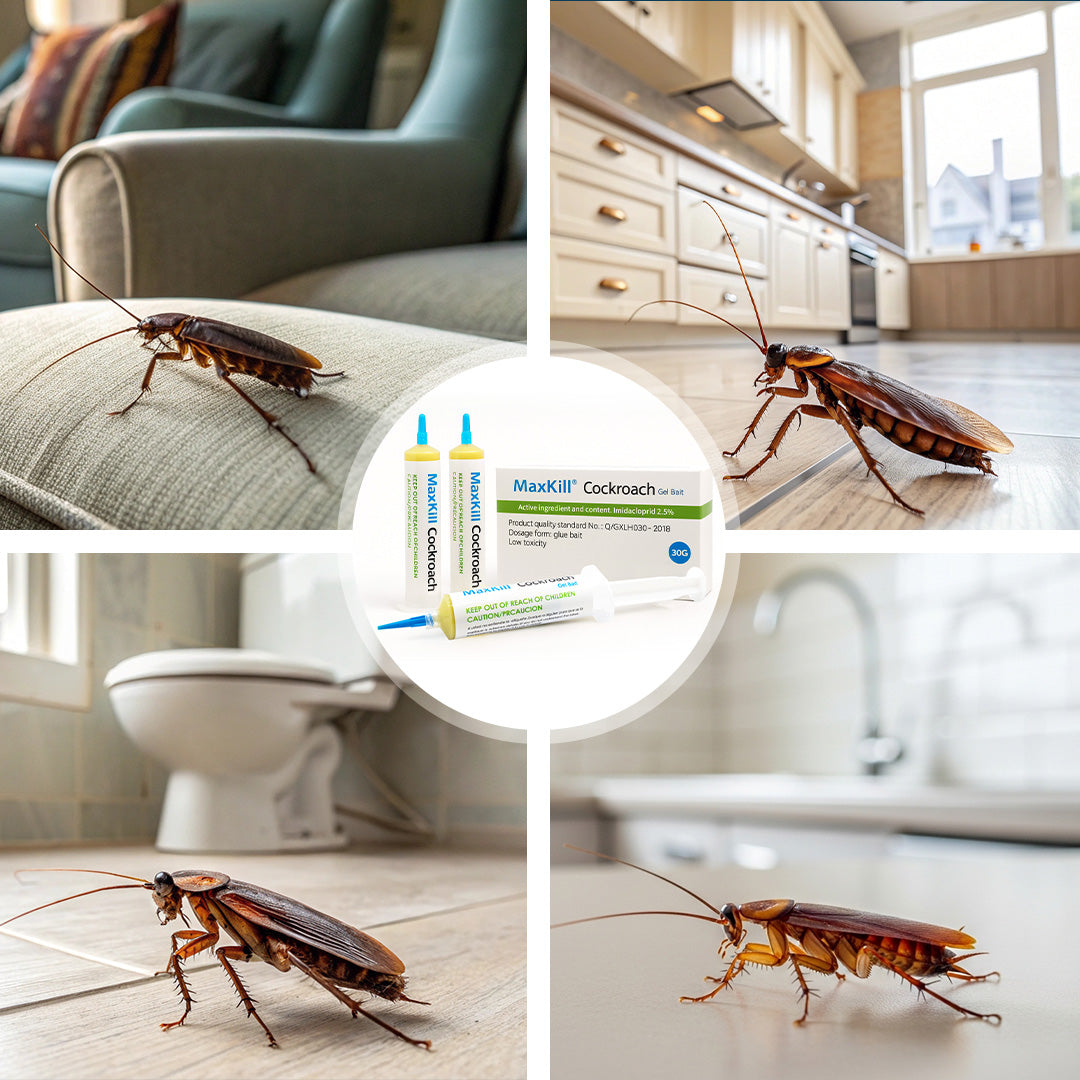 MaxKill Cockroach Gel Bait 30g – Powerful Roach Killer Gel | Long-Lasting Indoor Cockroach Control | Easy Syringe Applicator | Fast & Effective Pest Solution
